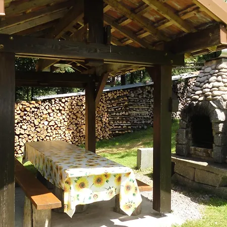 Avec Garage Et Local Velos Au Pied Des Pistes De - Fr-1-589-127 * La Bresse