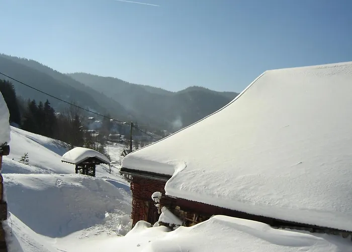 Prázdninový dům Avec Garage Et Local Velos Au Pied Des Pistes De - Fr-1-589-127