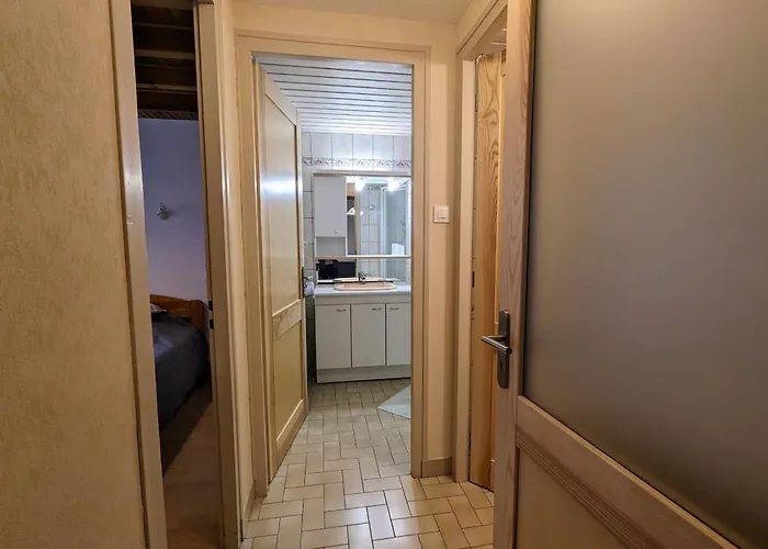 Avec Garage Et Local Velos Au Pied Des Pistes De - Fr-1-589-127 * La Bresse