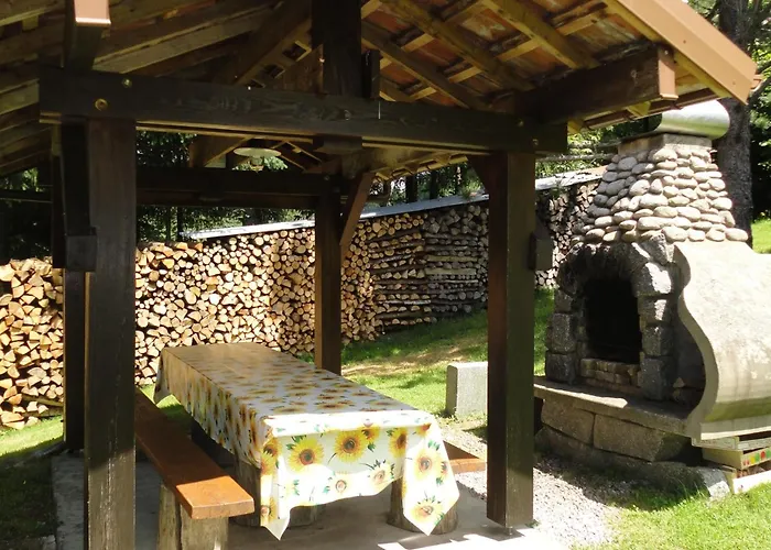 Avec Garage Et Local Velos Au Pied Des Pistes De - Fr-1-589-127 * La Bresse