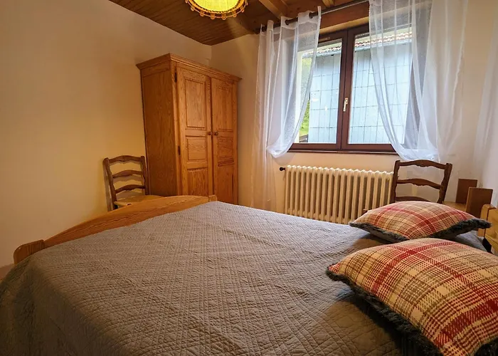 Prázdninový dům Avec Garage Et Local Velos Au Pied Des Pistes De - Fr-1-589-127