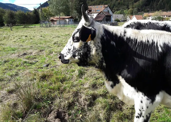 Avec Garage Et Local Velos Au Pied Des Pistes De - Fr-1-589-127 Prázdninový dům *